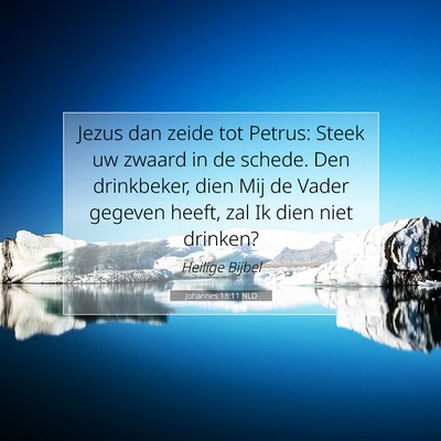 Picture 07 - Johannes 18:11 NLD - Jezus dan zeide tot Petrus: Steek uw zwaard in de - Bible Verse Picture