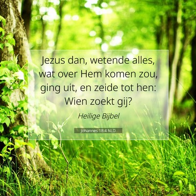 Picture 07 - Johannes 18:4 NLD - Jezus dan, wetende alles, wat over Hem komen zou, - Bible Verse Picture