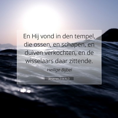 Picture 07 - Johannes 2:14 NLD - En Hij vond in den tempel, die ossen, en schapen, - Bible Verse Picture