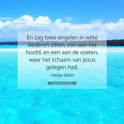 Picture 07 - Johannes 20:12 NLD - En zag twee engelen in witte klederen zitten, een - Bible Verse Picture