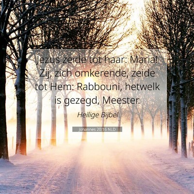 Picture 07 - Johannes 20:16 NLD - Jezus zeide tot haar: Maria! Zij, zich omkerende, - Bible Verse Picture