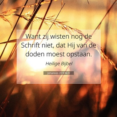 Picture 07 - Johannes 20:9 NLD - Want zij wisten nog de Schrift niet, dat Hij van - Bible Verse Picture