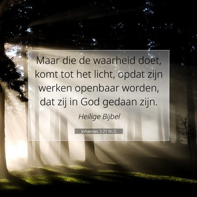 Picture 07 - Johannes 3:21 NLD - Maar die de waarheid doet, komt tot het licht, - Bible Verse Picture