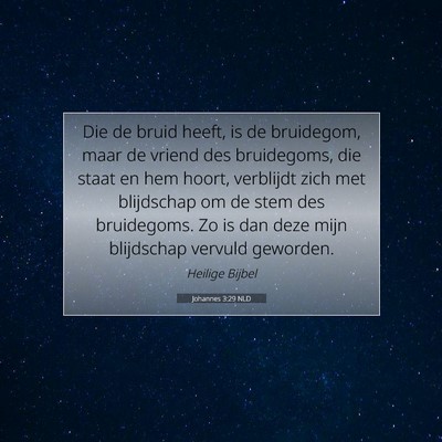 Picture 07 - Johannes 3:29 NLD - Die de bruid heeft, is de bruidegom, maar de - Bible Verse Picture