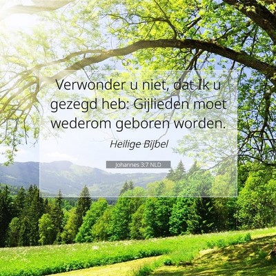 Picture 07 - Johannes 3:7 NLD - Verwonder u niet, dat Ik u gezegd heb: Gijlieden - Bible Verse Picture