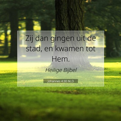Picture 07 - Johannes 4:30 NLD - Zij dan gingen uit de stad, en kwamen tot - Bible Verse Picture