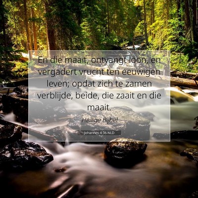 Picture 07 - Johannes 4:36 NLD - En die maait, ontvangt loon, en vergadert vrucht - Bible Verse Picture