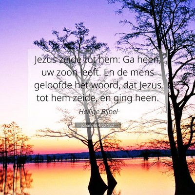 Picture 07 - Johannes 4:50 NLD - Jezus zeide tot hem: Ga heen, uw zoon leeft. En - Bible Verse Picture
