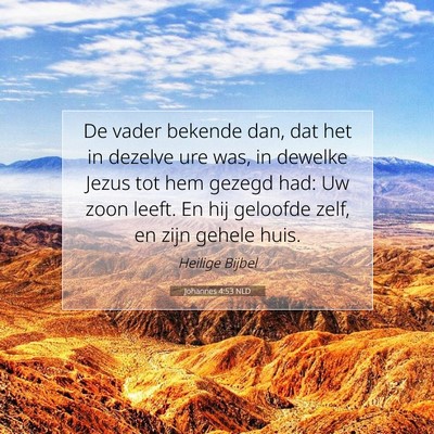 Picture 07 - Johannes 4:53 NLD - De vader bekende dan, dat het in dezelve ure was, - Bible Verse Picture