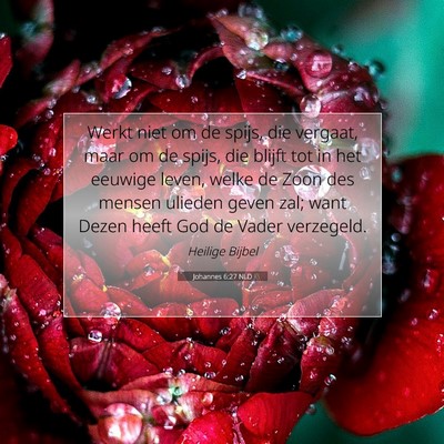 Picture 07 - Johannes 6:27 NLD - Werkt niet om de spijs, die vergaat, maar om de - Bible Verse Picture
