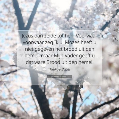 Picture 07 - Johannes 6:32 NLD - Jezus dan zeide tot hen: Voorwaar, voorwaar zeg - Bible Verse Picture
