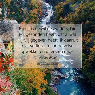 Picture 07 - Johannes 6:39 NLD - En dit is de wil des Vaders, Die Mij gezonden - Bible Verse Picture