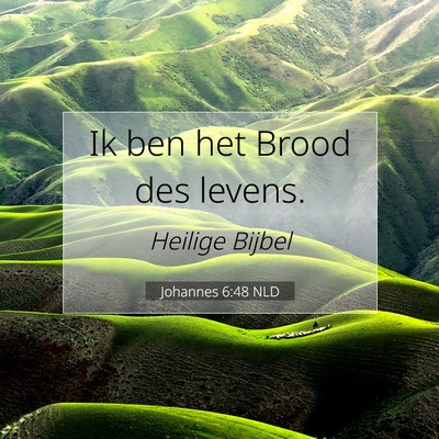 Picture 07 - Johannes 6:48 NLD - Ik ben het Brood des - Bible Verse Picture