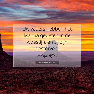 Picture 07 - Johannes 6:49 NLD - Uw vaders hebben het Manna gegeten in de - Bible Verse Picture