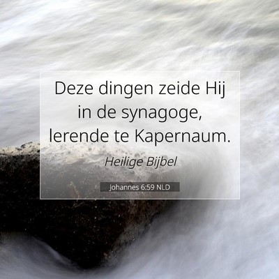 Picture 07 - Johannes 6:59 NLD - Deze dingen zeide Hij in de synagoge, lerende te - Bible Verse Picture