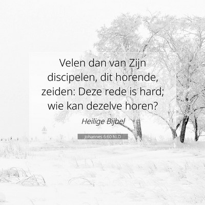 Picture 07 - Johannes 6:60 NLD - Velen dan van Zijn discipelen, dit horende, - Bible Verse Picture