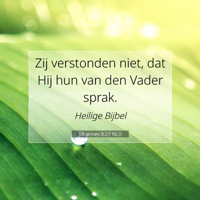 Picture 07 - Johannes 8:27 NLD - Zij verstonden niet, dat Hij hun van den Vader - Bible Verse Picture