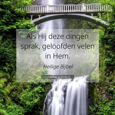 Picture 07 - Johannes 8:30 NLD - Als Hij deze dingen sprak, geloofden velen in - Bible Verse Picture