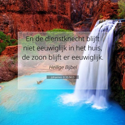 Picture 07 - Johannes 8:35 NLD - En de dienstknecht blijft niet eeuwiglijk in het - Bible Verse Picture