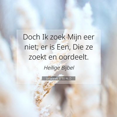 Picture 07 - Johannes 8:50 NLD - Doch Ik zoek Mijn eer niet; er is Een, Die ze - Bible Verse Picture