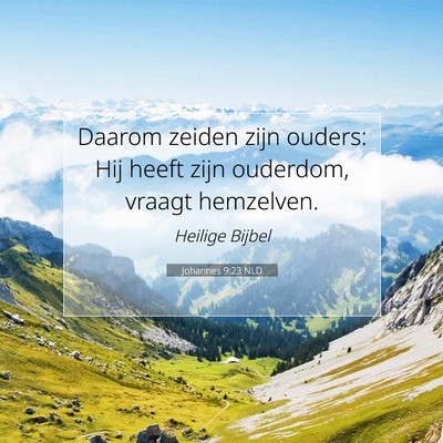 Picture 07 - Johannes 9:23 NLD - Daarom zeiden zijn ouders: Hij heeft zijn - Bible Verse Picture