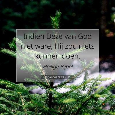 Picture 07 - Johannes 9:33 NLD - Indien Deze van God niet ware, Hij zou niets - Bible Verse Picture