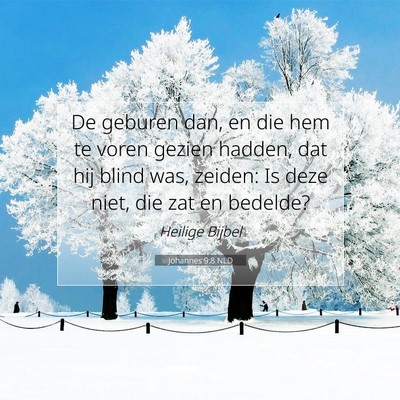 Picture 07 - Johannes 9:8 NLD - De geburen dan, en die hem te voren gezien - Bible Verse Picture
