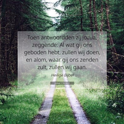 Picture 07 - Jozua 1:16 NLD - Toen antwoordden zij Jozua, zeggende: Al wat gij - Bible Verse Picture