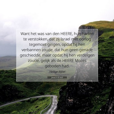 Picture 07 - Jozua 11:20 NLD - Want het was van den HEERE, hun harten te - Bible Verse Picture