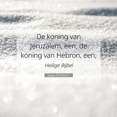 Picture 07 - Jozua 12:10 NLD - De koning van Jeruzalem, een; de koning van - Bible Verse Picture