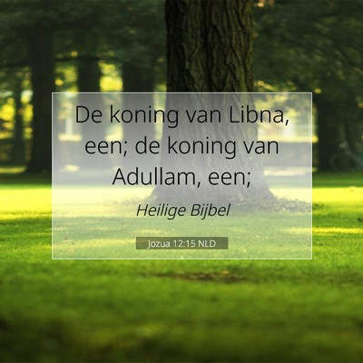 Picture 07 - Jozua 12:15 NLD - De koning van Libna, een; de koning van Adullam, - Bible Verse Picture