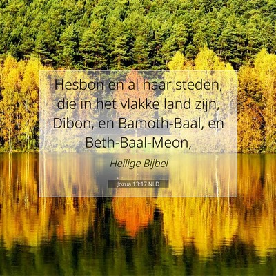 Picture 07 - Jozua 13:17 NLD - Hesbon en al haar steden, die in het vlakke land - Bible Verse Picture