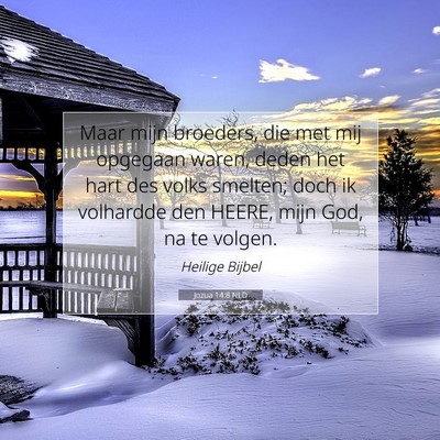 Picture 07 - Jozua 14:8 NLD - Maar mijn broeders, die met mij opgegaan waren, - Bible Verse Picture