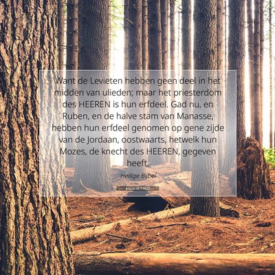 Picture 07 - Jozua 18:7 NLD - Want de Levieten hebben geen deel in het midden - Bible Verse Picture