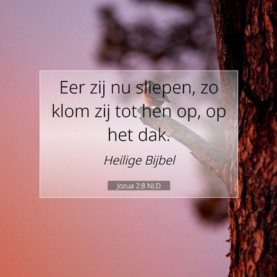 Picture 07 - Jozua 2:8 NLD - Eer zij nu sliepen, zo klom zij tot hen op, op - Bible Verse Picture