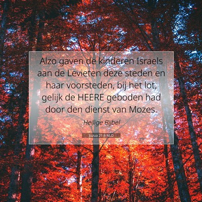 Picture 07 - Jozua 21:8 NLD - Alzo gaven de kinderen Israels aan de Levieten - Bible Verse Picture