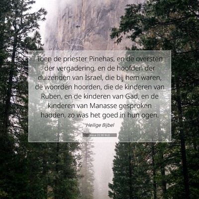 Picture 07 - Jozua 22:30 NLD - Toen de priester Pinehas, en de oversten der - Bible Verse Picture