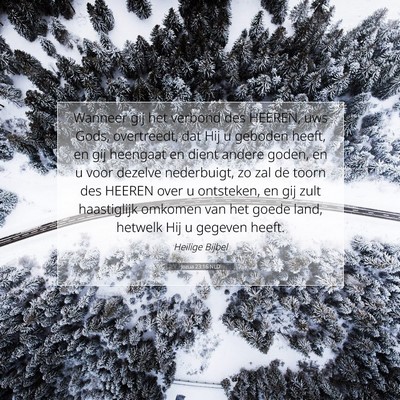 Picture 07 - Jozua 23:16 NLD - Wanneer gij het verbond des HEEREN, uws Gods, - Bible Verse Picture