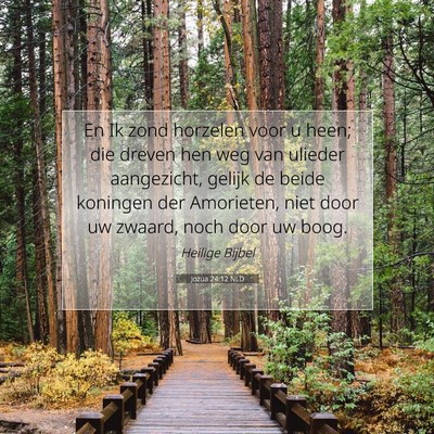 Picture 07 - Jozua 24:12 NLD - En Ik zond horzelen voor u heen; die dreven hen - Bible Verse Picture