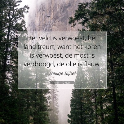 Picture 07 - Joël 1:10 NLD - Het veld is verwoest, het land treurt; want het - Bible Verse Picture