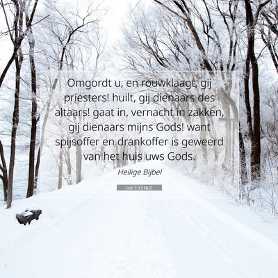 Picture 07 - Joël 1:13 NLD - Omgordt u, en rouwklaagt, gij priesters! huilt, - Bible Verse Picture