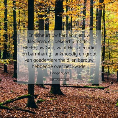Picture 07 - Joël 2:13 NLD - En scheurt uw hart en niet uw klederen, en - Bible Verse Picture