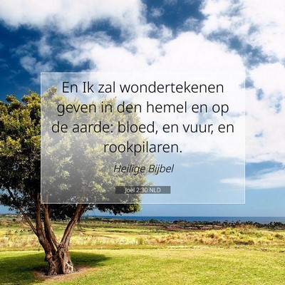 Picture 07 - Joël 2:30 NLD - En Ik zal wondertekenen geven in den hemel en op - Bible Verse Picture