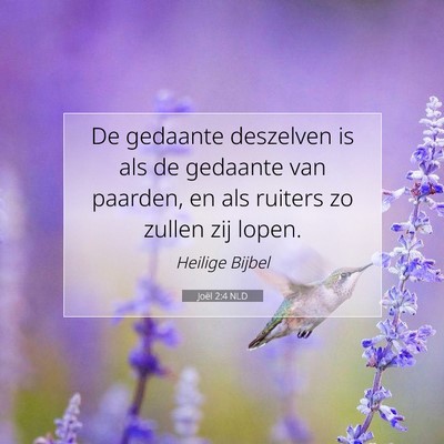 Picture 07 - Joël 2:4 NLD - De gedaante deszelven is als de gedaante van - Bible Verse Picture