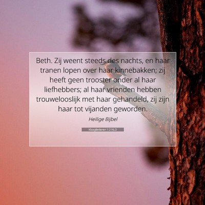 Picture 07 - Klaagliederen 1:2 NLD - Beth. Zij weent steeds des nachts, en haar tranen - Bible Verse Picture