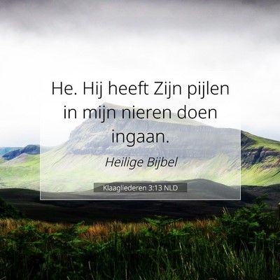 Picture 07 - Klaagliederen 3:13 NLD - He. Hij heeft Zijn pijlen in mijn nieren doen - Bible Verse Picture