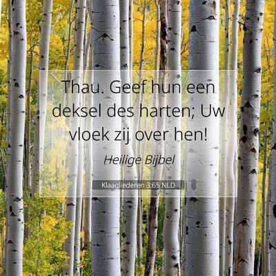 Picture 07 - Klaagliederen 3:65 NLD - Thau. Geef hun een deksel des harten; Uw vloek - Bible Verse Picture