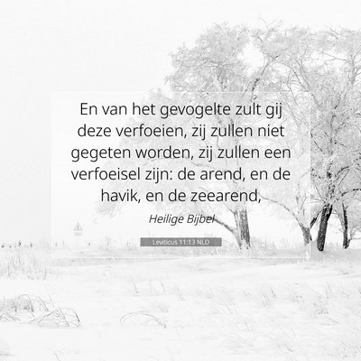 Picture 07 - Leviticus 11:13 NLD - En van het gevogelte zult gij deze verfoeien, zij - Bible Verse Picture