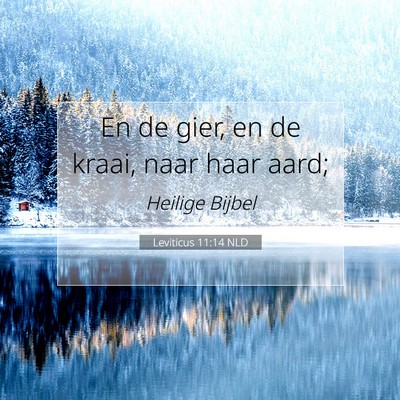 Picture 07 - Leviticus 11:14 NLD - En de gier, en de kraai, naar haar - Bible Verse Picture