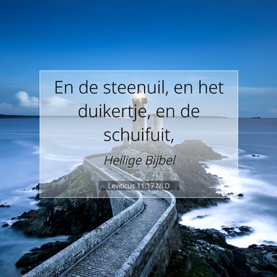 Picture 07 - Leviticus 11:17 NLD - En de steenuil, en het duikertje, en de - Bible Verse Picture